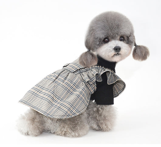 Ropa Elegante para Perros Pequeños y Gatos - Estilo Japonés y Coreano - Image 11