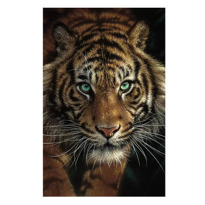 Cuadro Canvas Tigre Africano Salvaje - Poster Decorativo - Image 18