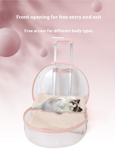 Mochila Transportadora Transparente para Gatos y Mascotas Pequeñas - Image 21