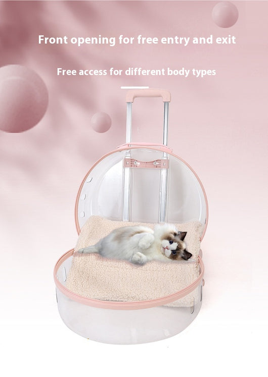 Mochila Transportadora Transparente para Gatos y Mascotas Pequeñas - Image 21