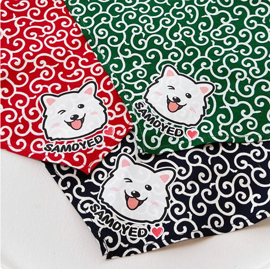 Pañoleta Triangular para Mascotas con Encaje Floral Tang - Image 3