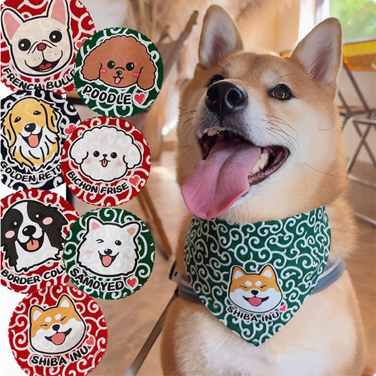 Pañoleta Triangular para Mascotas con Encaje Floral Tang - Image 12