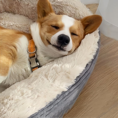 Nido Acogedor para Perros Tipo Teddy - Image 2