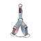 Individual Chest Trasero Rosado Azul S
