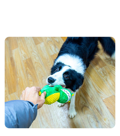 Juguete Masticable para Perros con Sonido - Dinosaurio Peluche Interactivo - Image 9
