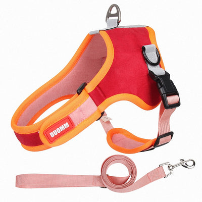 Arnés de Gamuza para Perros - Correa Cómoda y Segura - Image 13