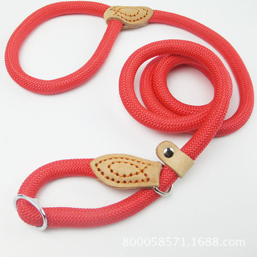 Correa de Nylon para Perros con Agarre Ergonómico - Image 6