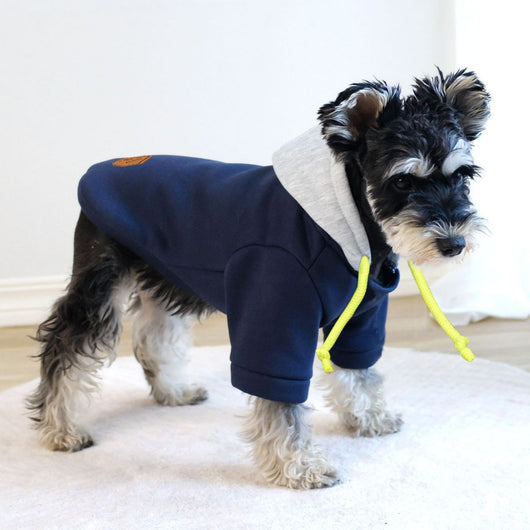 Sudadera con Capucha para Mascotas - Diseño Bicolor Moderno