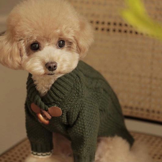 Suéter Tejido para Perros Schnauzer - Diseño Panda Teddy
