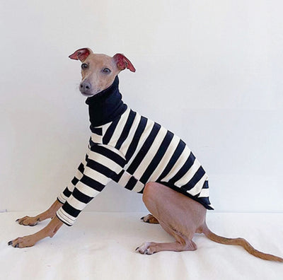 Suéter Rayas Cuello Alto Algodón Stretch para Perros - Image 10
