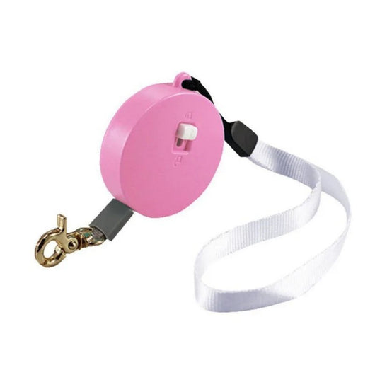 Correa Retráctil Automática para Perros Pequeños - Cinta Plana de Nylon - Image 10