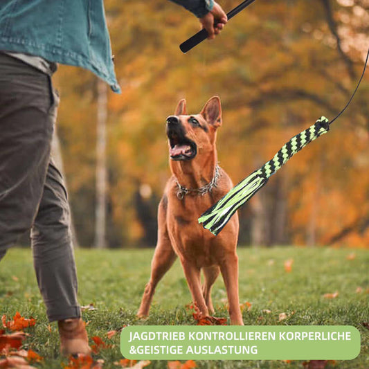 Telescopic dog teasing rod toy with black foam grip and multiple colorful rope attachments, including a carrying bag.