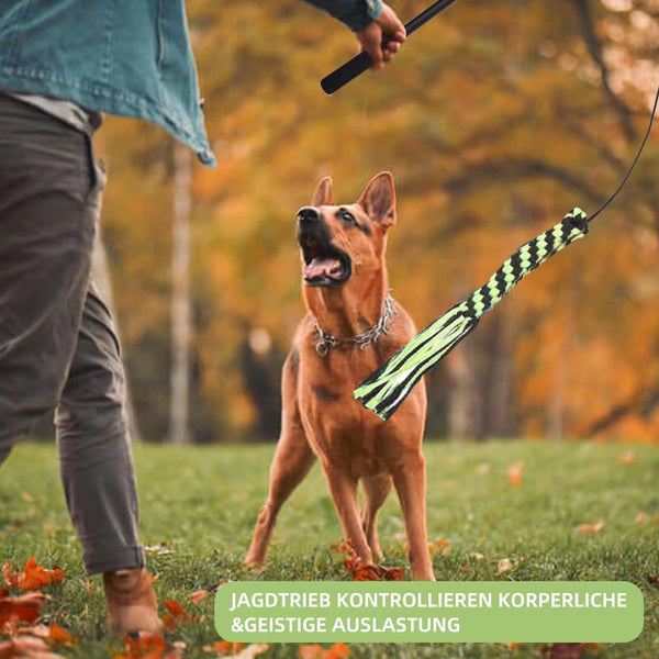 Telescopic dog teasing rod toy with black foam grip and multiple colorful rope attachments, including a carrying bag.