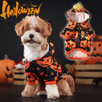 Suéter Calabaza para Perros y Gatos - Abrigo Cálido y Adorable