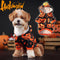 Suéter Calabaza para Perros y Gatos - Abrigo Cálido y Adorable