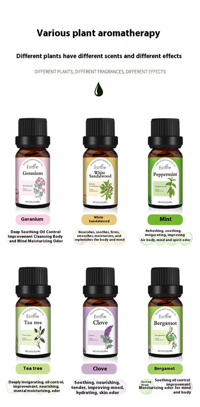 Piedra Aromaterápica Masaje Facial con Aceite Esencial Relajante - Image 32