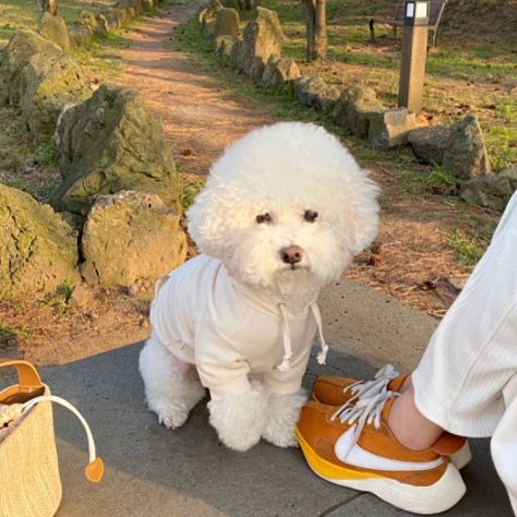 Suéter Elegante y Cómodo para Perros - Image 3
