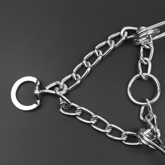 Cadena Metálica Desmontable para Entrenamiento Canino - Image 13