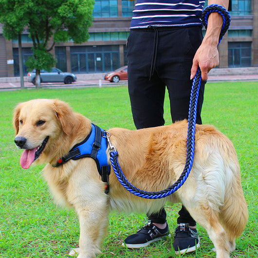 Arnés de pecho para perro con correa - Image 7