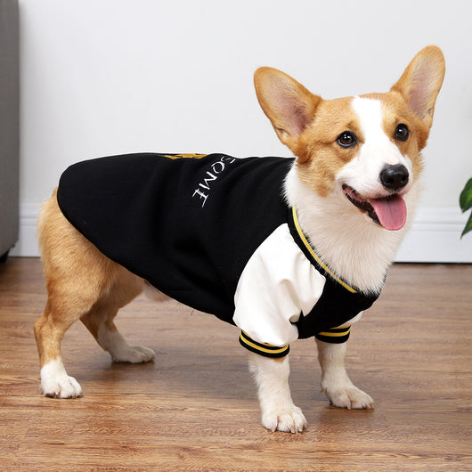 Suéter Béisbol para Perros Medianos - Image 7