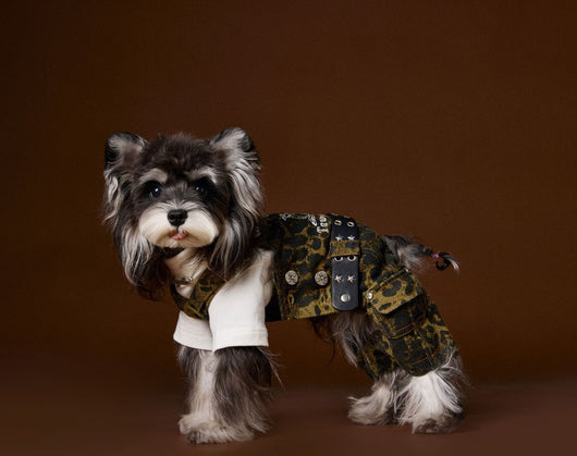 Overol para Perro Estampado Leopardo Otoño - Image 9