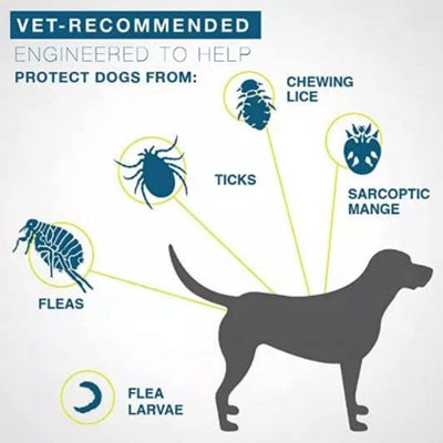 AICONSTO small dog insect repellent collar, gray, offering 8-month protection against fleas, ticks, lice, and flea larvae. - Image 25