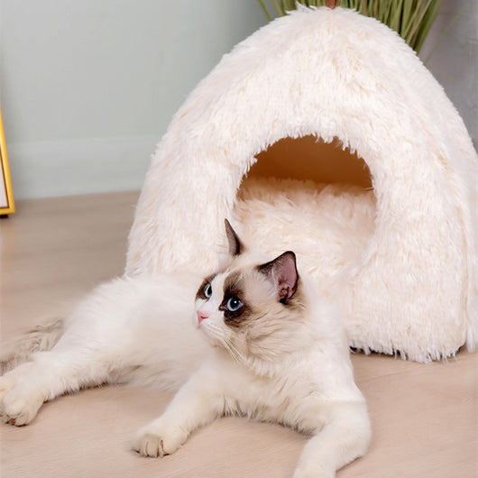 Arenero Triangular Cerrado Comprimible para Gatos - Image 15