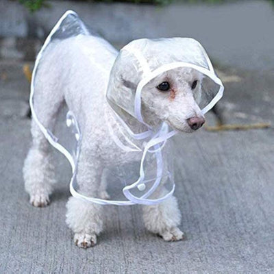 Impermeable Transparente para Perros Pequeños y Medianos con Capucha