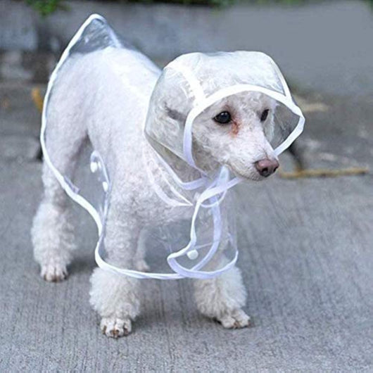 Impermeable Transparente para Perros Pequeños y Medianos con Capucha