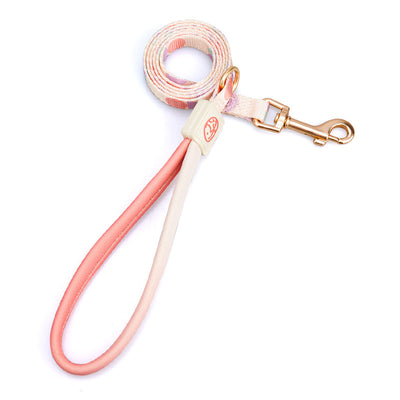 Arnés Pectoral en Y para Perro - Correa de Mascotas Fashion - Image 30