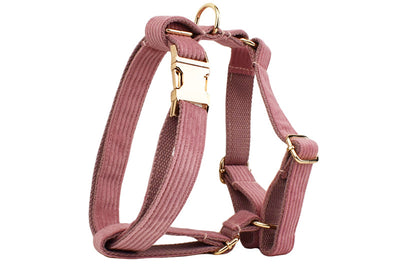 Collar de Tracción en Pana para Mascotas - Image 22