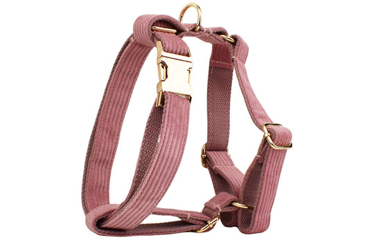 Collar de Tracción en Pana para Mascotas - Image 22