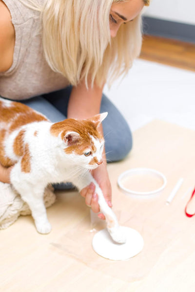 Kit de Almohadilla de Tinta DIY para Huellas de Mascotas - Gato y Perro - Image 16