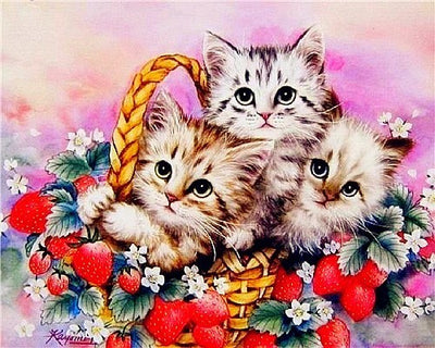 Pintura de Diamantes Gato - Bordado de Cristales Brillantes - Image 2