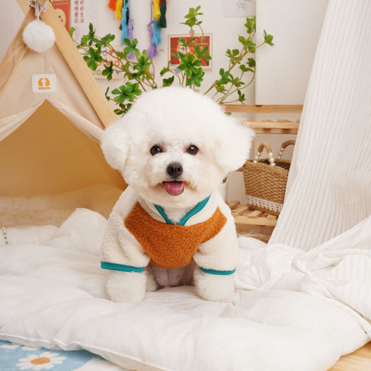 Suéter Térmico de Felpa Berber para Mascotas - Abrigo Grueso Otoño Invierno - Image 17