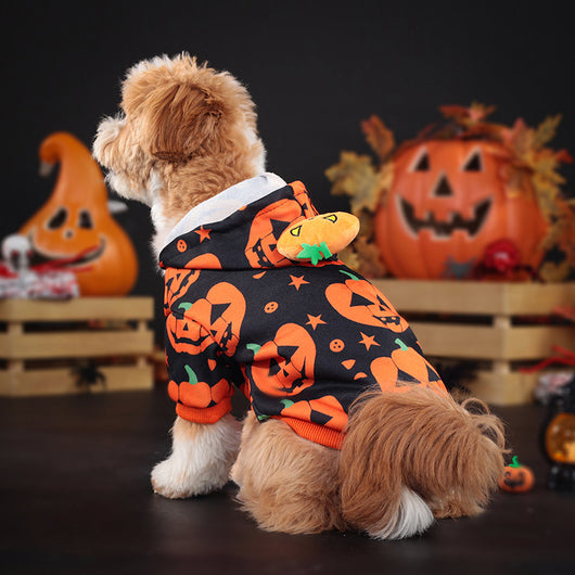 Suéter Calabaza para Perros y Gatos - Abrigo Cálido y Adorable - Image 8