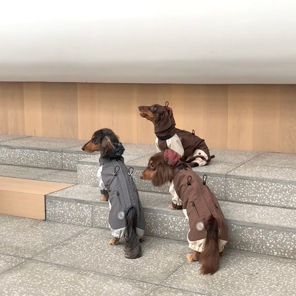 Abrigo Impermeable para Perros Salchicha - Chaqueta de Invierno y Otoño