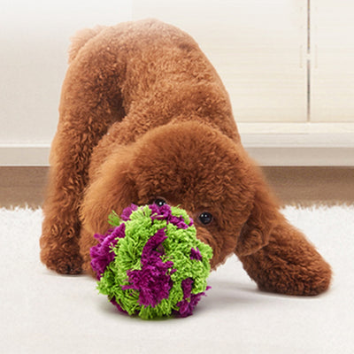 Juguetes Interactivos para Perros - Pelotas de Alga Marina Resistentes al Desgarro con Limpieza Dental - Image 8
