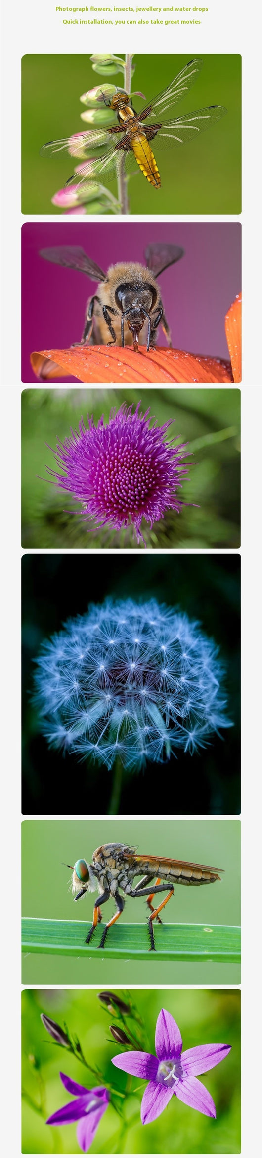Kit de Lentes de Acercamiento 4 Piezas - Fotografía Macro Profesional - Image 9