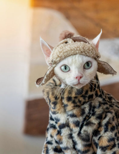 Ropa Térmica para Gatos sin Pelo - Abrigo Corto de Felpa Leopardo - Image 7