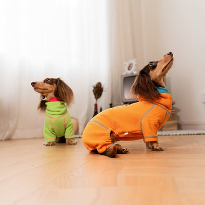 Suéter Tipo Waffle para Perros Salchicha - Abrigo Versátil Todas las Estaciones - Image 3