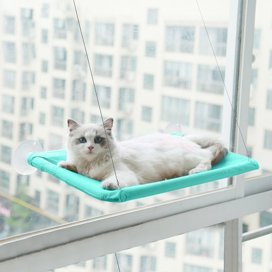 Hamaca Colgante para Gatos con Ventosa - Reposa Felino - Image 6