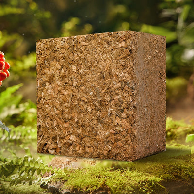 Sustrato de Coco para Plantas Suculentas - Cultivo sin Tierra - Image 8