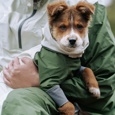 Impermeable para Perros - Abrigo Protector de Cuatro Patas - Image 11