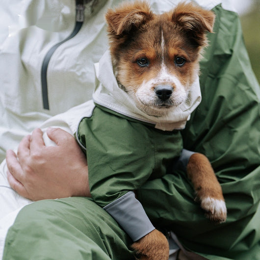 Impermeable para Perros - Abrigo Protector de Cuatro Patas - Image 11