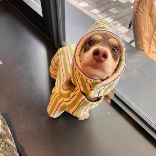 Chaleco Térmico para Perros - Abrigo Otoño Invierno - Image 8