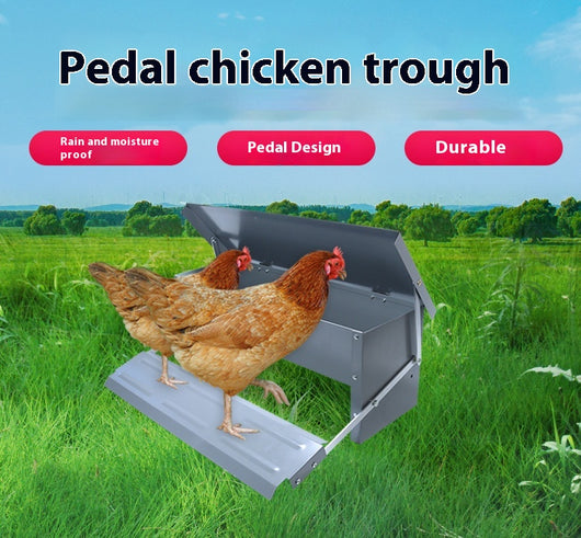 Comedero Automático con Pedal para Aves de Corral - Gallinas, Patos y Gansos - Image 7