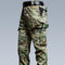 CP Pattern