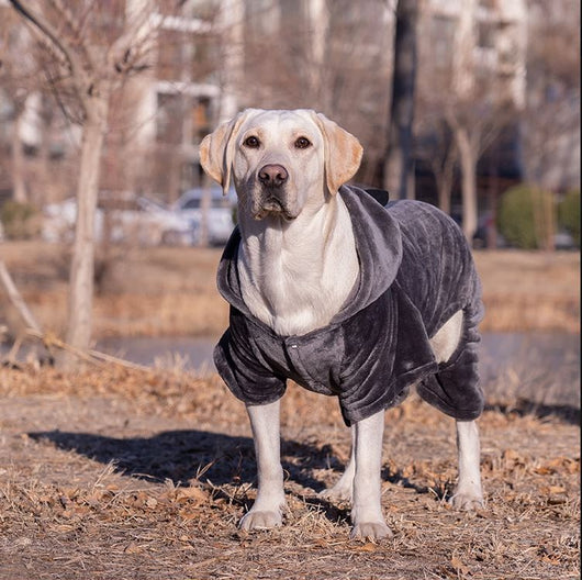 Ropa para Perros Grandes - Colección Año Completo Talla Mediana-Grande - Image 20