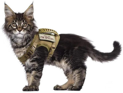 Black tactical pet harness made of Oxford cloth with an American flag patch, top handle, and quick-release buckles. - Image 16